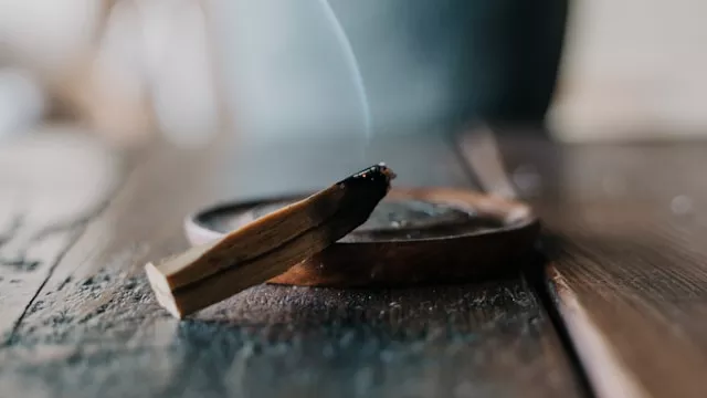 Palo Santo Nedir, Nasıl Yakılır
