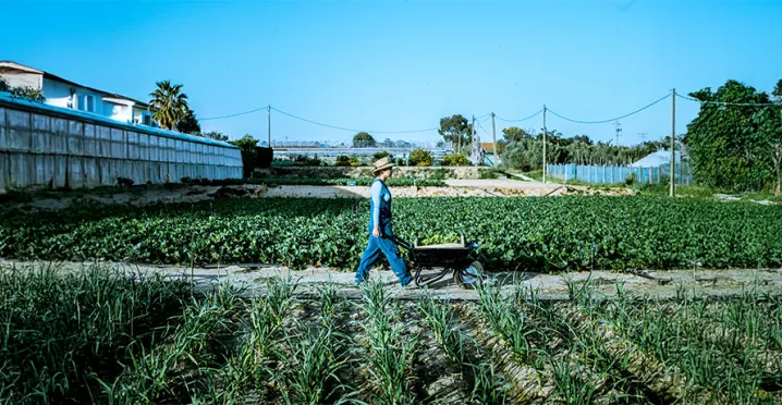 Zirai Kazanc╠ğ Nedir.jpg