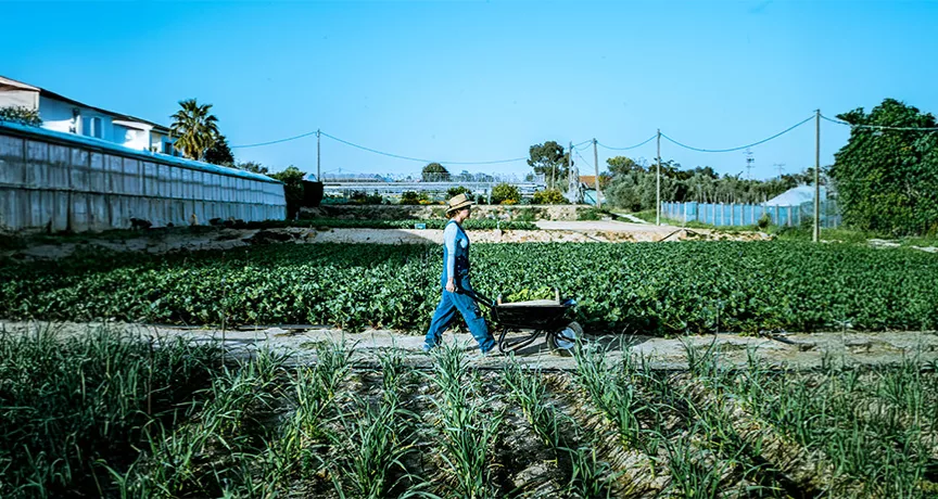 Zirai Kazanc╠ğ Nedir.jpg