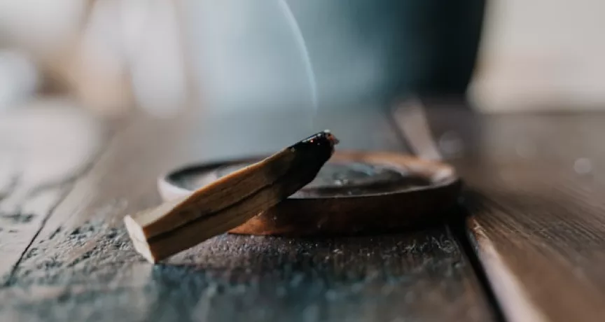 Palo Santo Nedir, Nasıl Yakılır