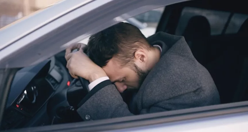 arabatutması_carsick