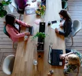 Startup Nedir