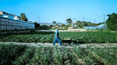 Zirai Kazanc╠ğ Nedir.jpg