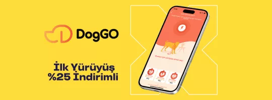 doggo ilk gezdirme